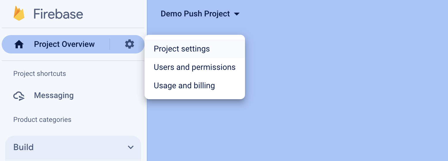 Firebase Project settings