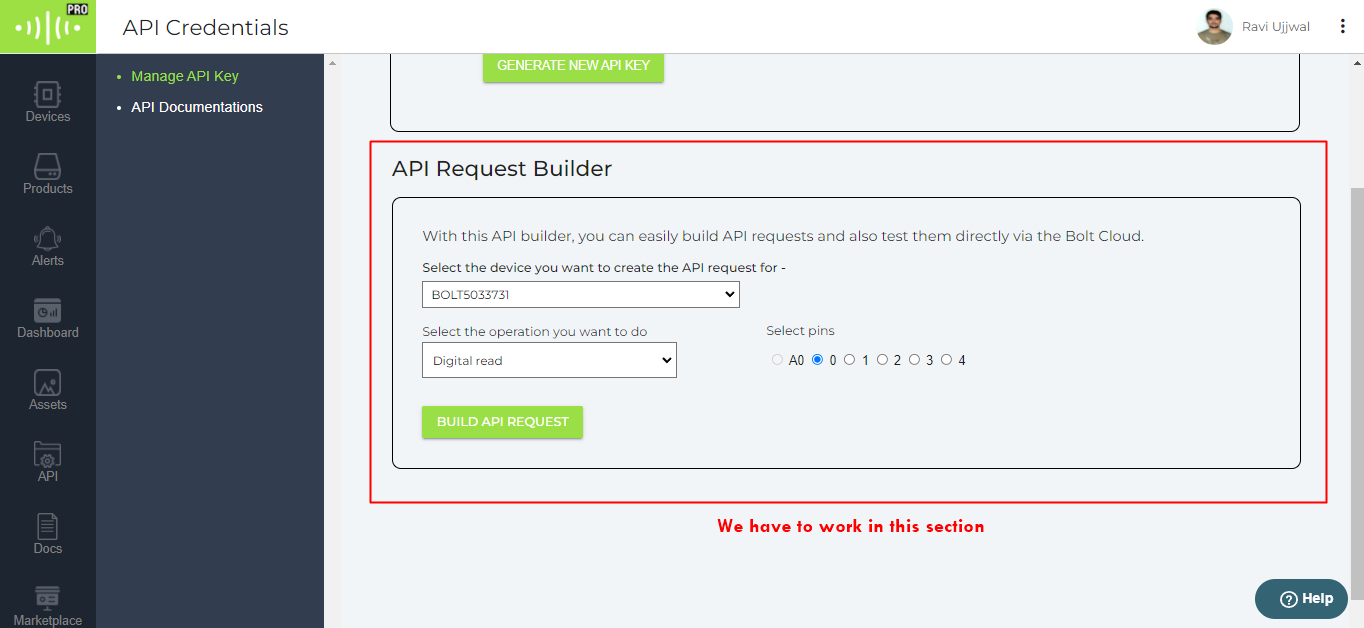 API Request Builder section