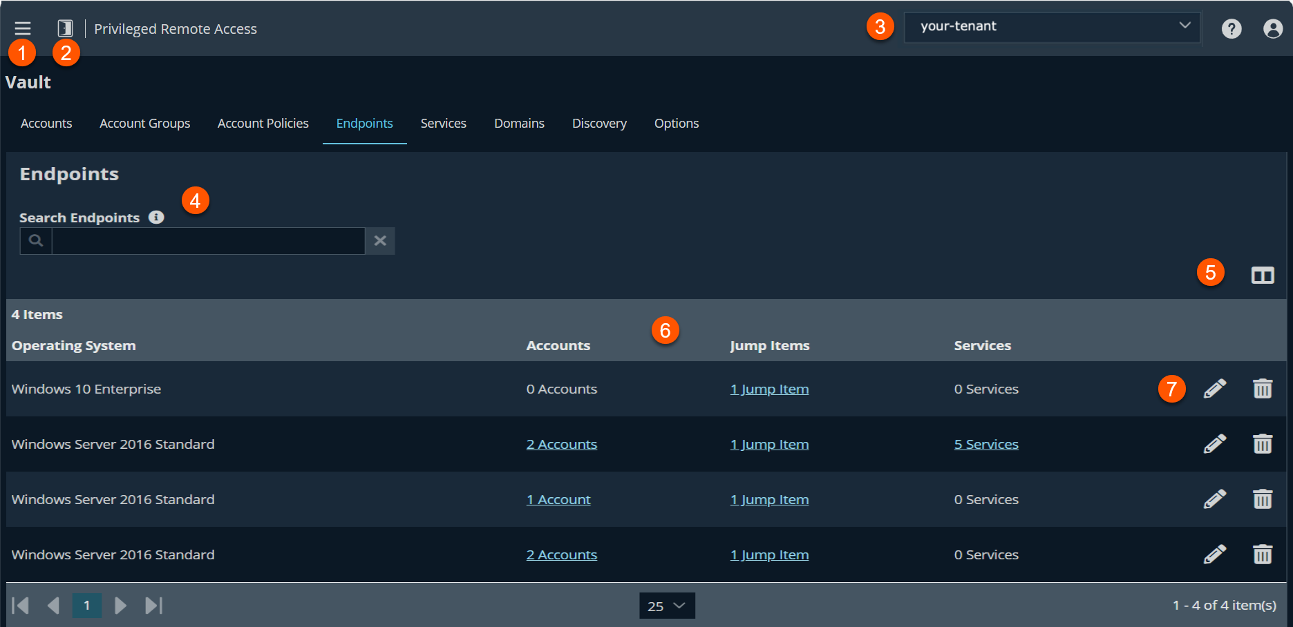 An image of a Privileged Remote Access interface showing the Endpoints tab. The interface includes navigation options for Accounts, Account Groups, Account Policies, Endpoints, Services, Domains, Discovery, and Options