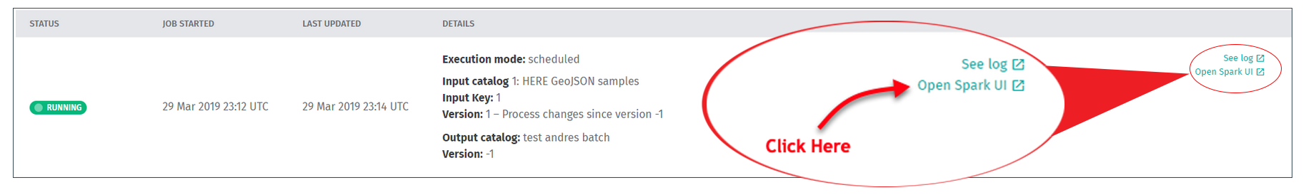 Screen capture of Spark UI link on portal screen