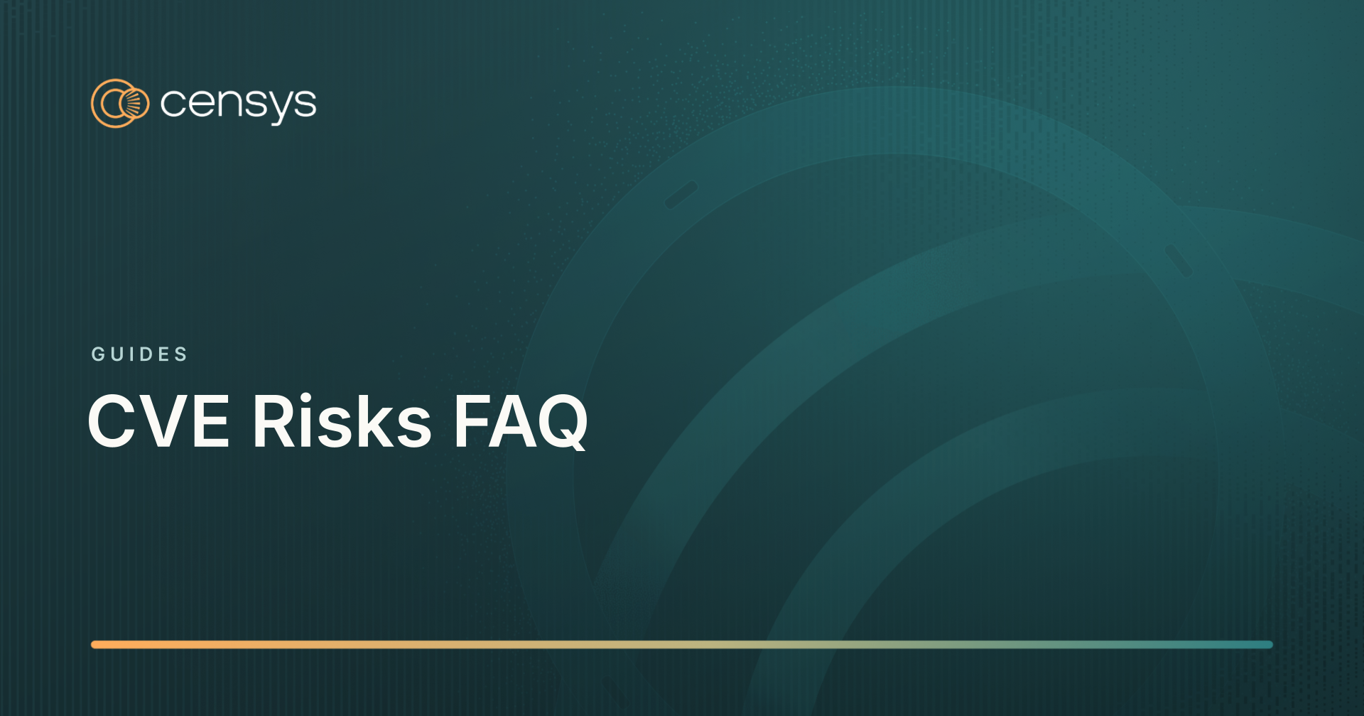 CVE Risks FAQ