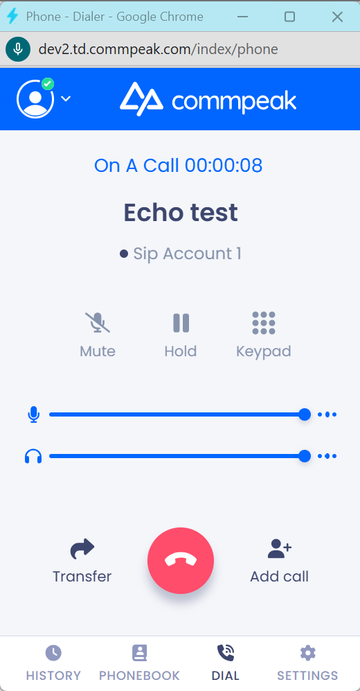 Screenshot of the echo test in progress