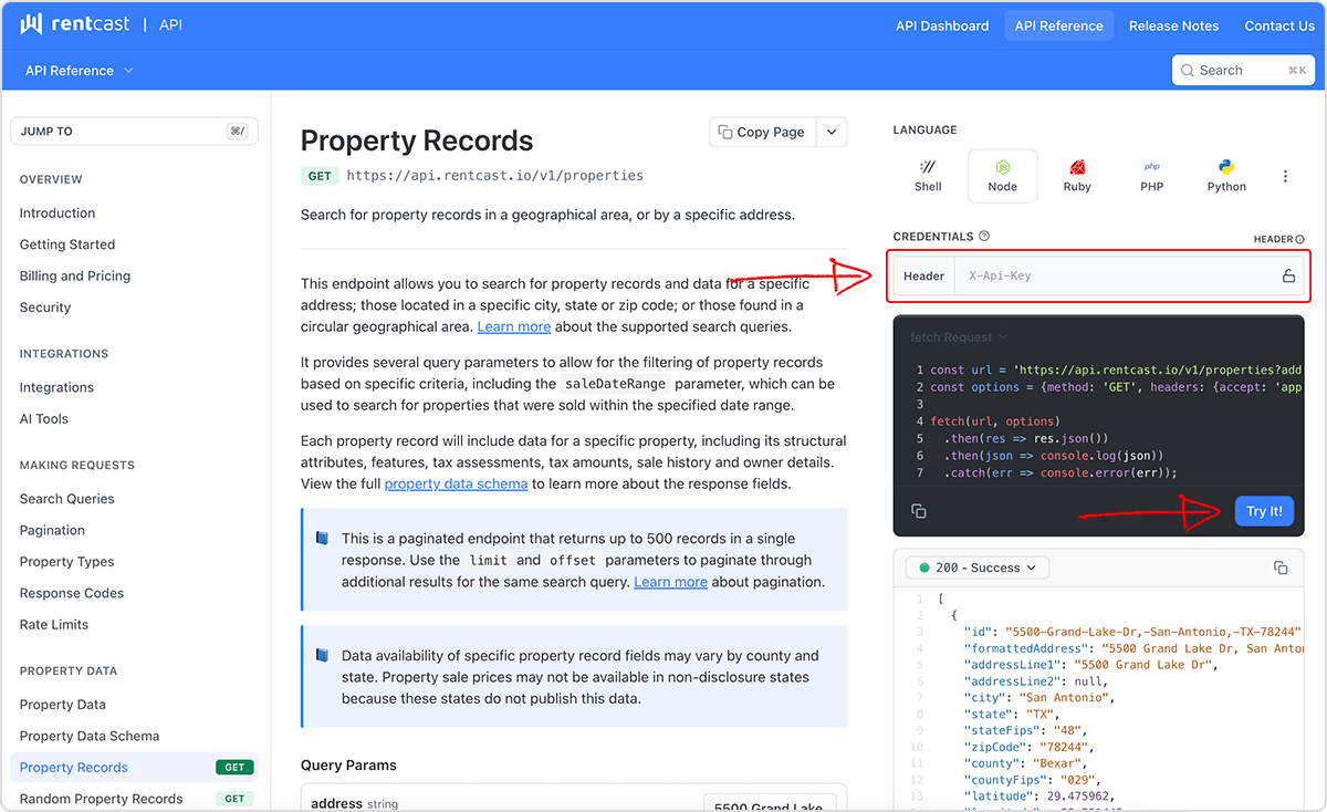 Making test API requests in the browser playground