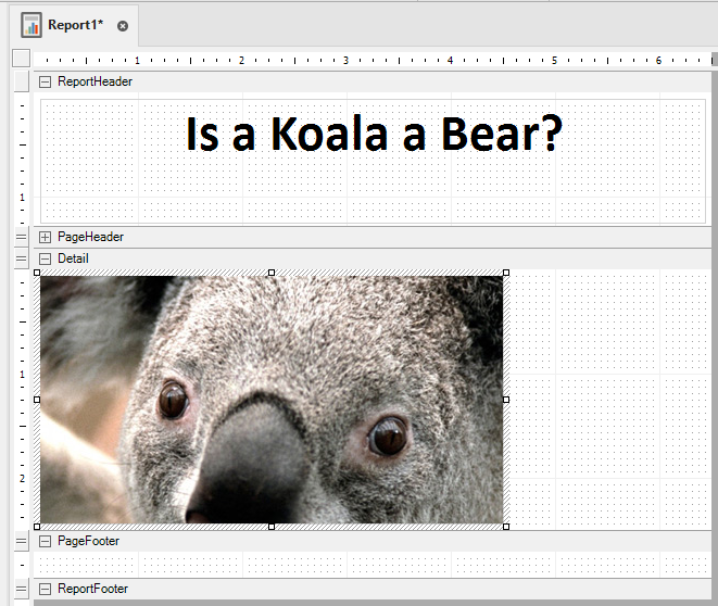 b240710-koala_image.png 661