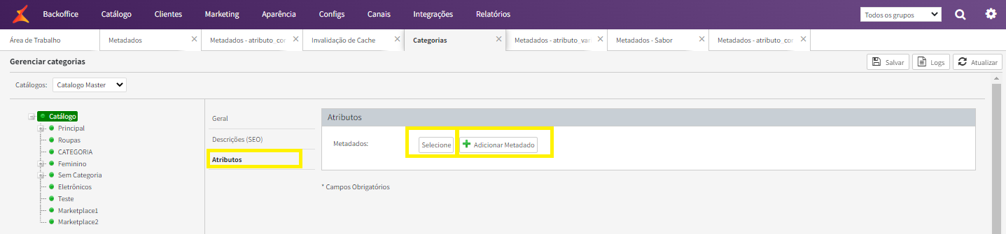 Selecione atributos ou cadastre.png