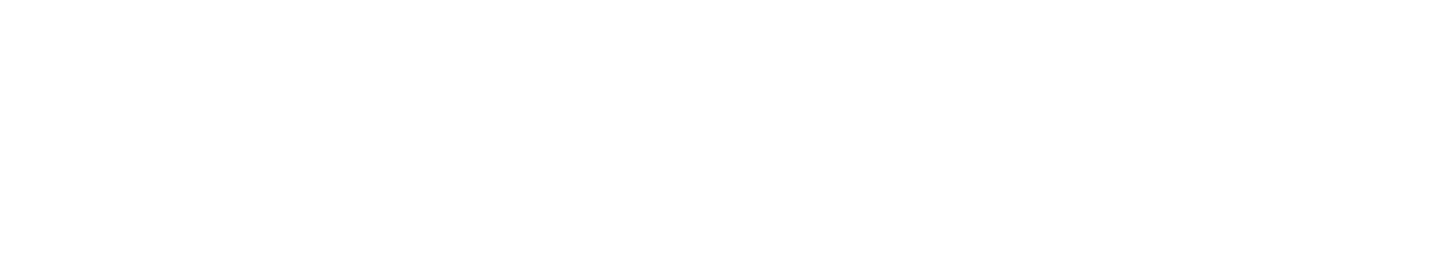 Zenegy