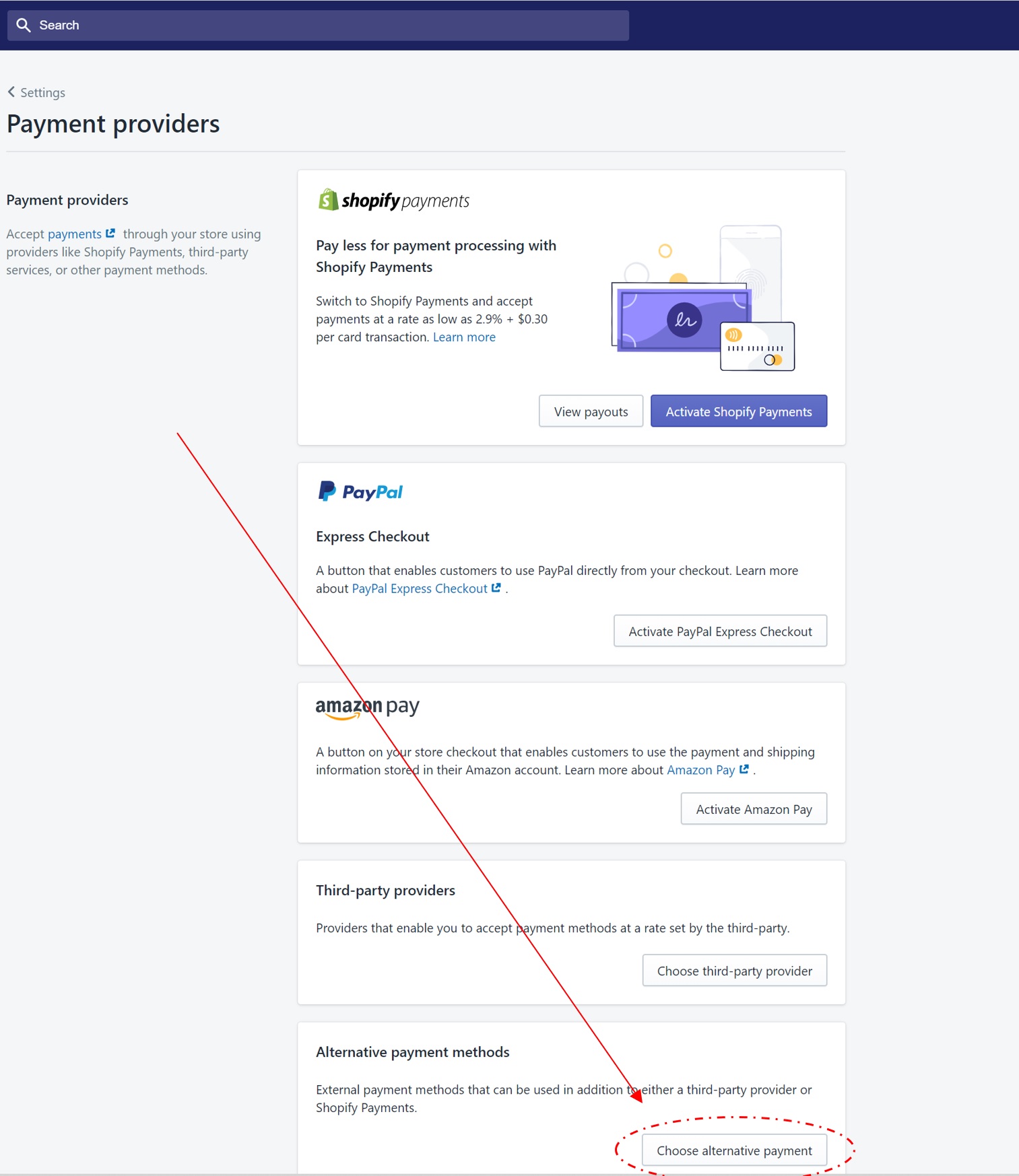 Shopify Payment Providers.jpg