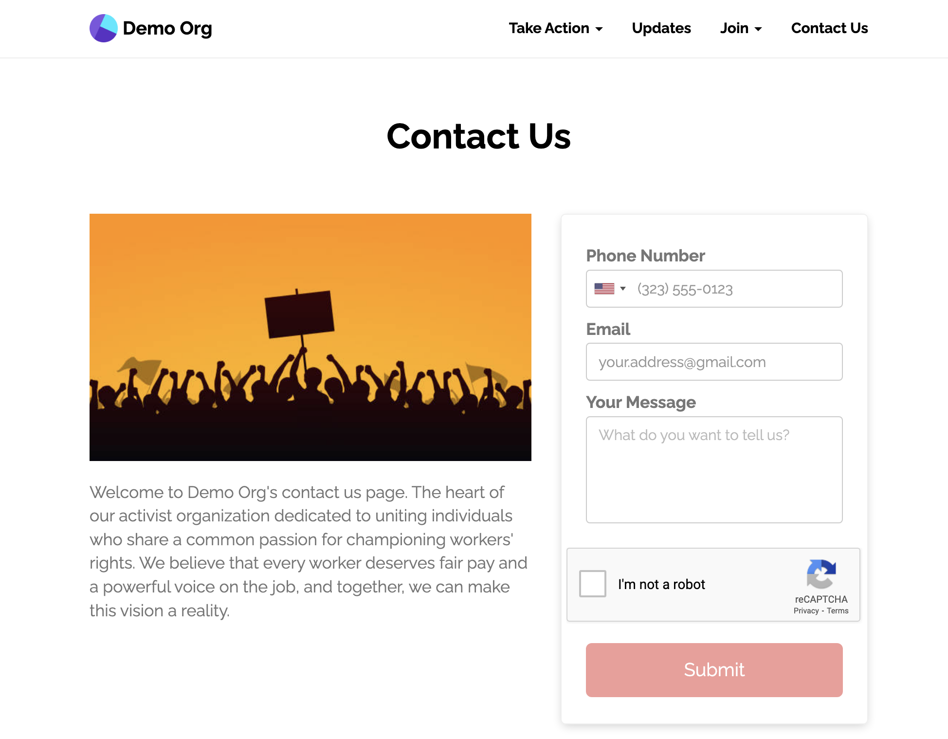 View an [example sidebar template form here](https://demo.solidarity.tech/contact-us)