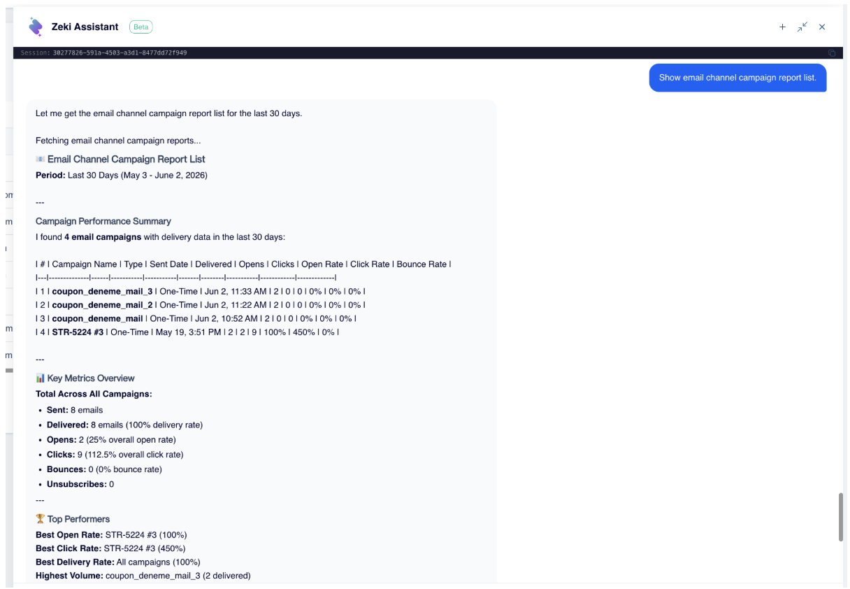 Continue the conversation to explore the data in more detail. Zeki Assistant remembers the context and helps you move from high-level summaries to campaign-level reports without manually searching through the platform.