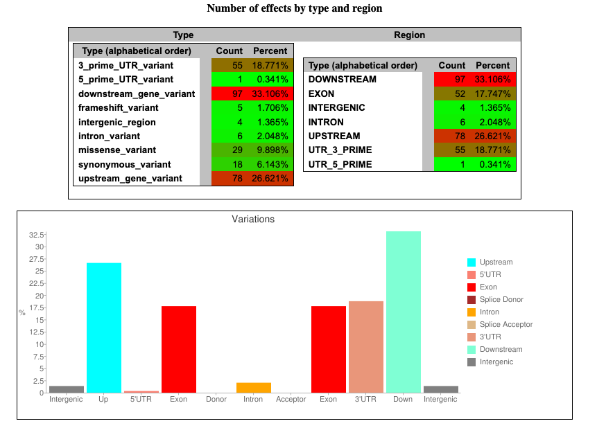 Fig. 8: An example plot from an SnpEff report on the number of possible variant effects by type and region.