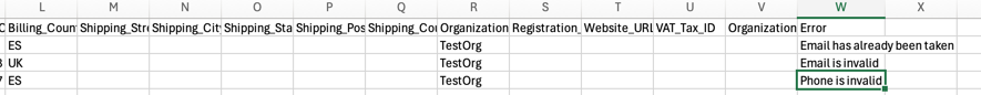 The CSV file with errors from the import process