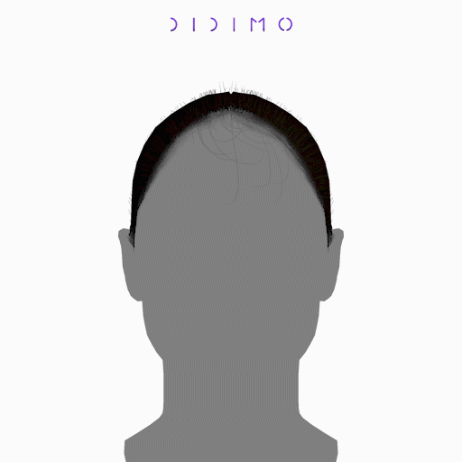 hair_001_512.gif Hair 001