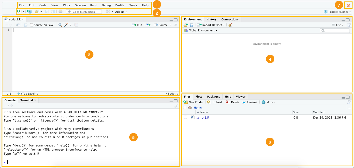 RStudio User Guide - Text Editor