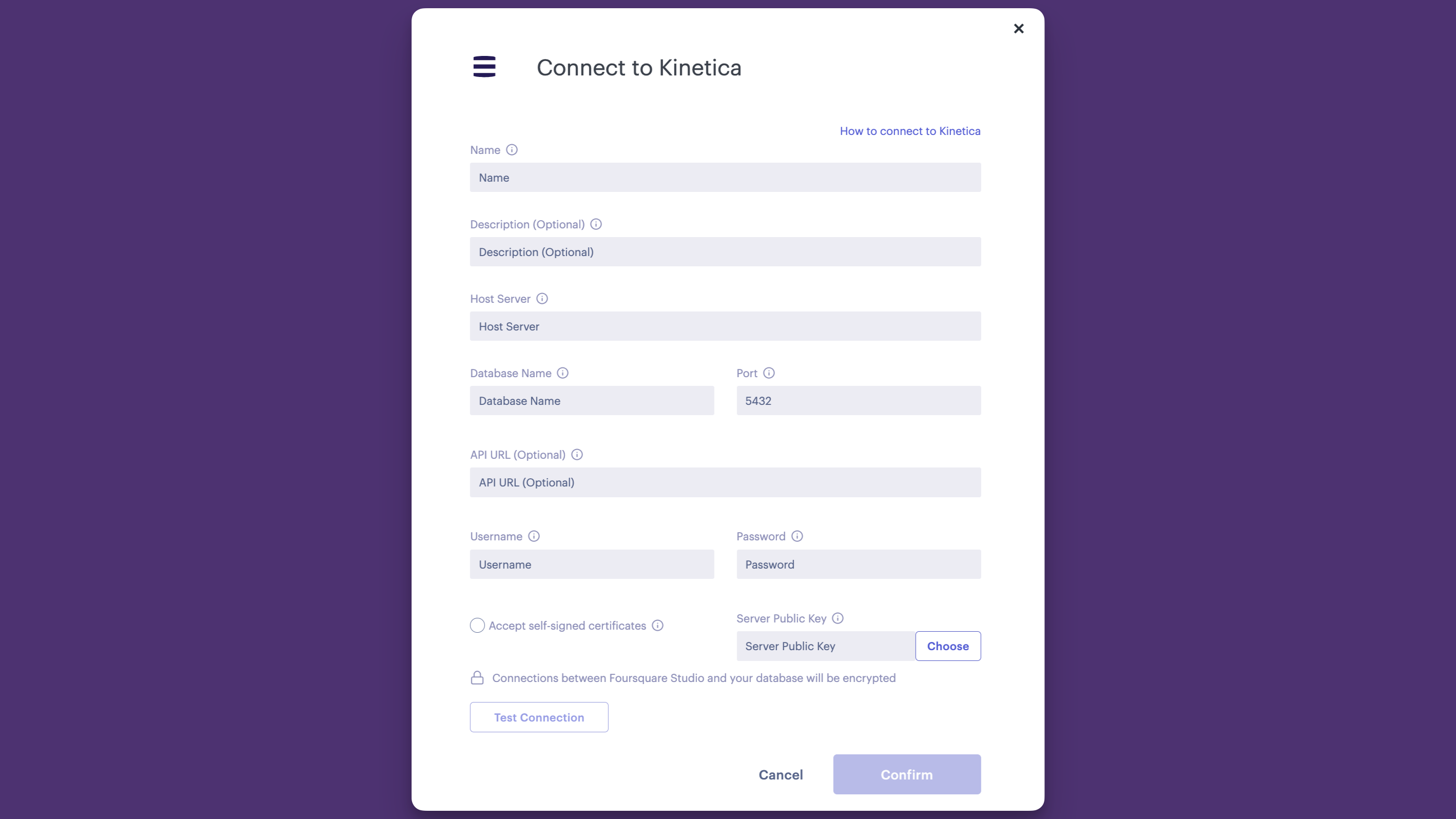 Kinetica Connector Form