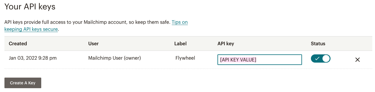 mailchimp api key