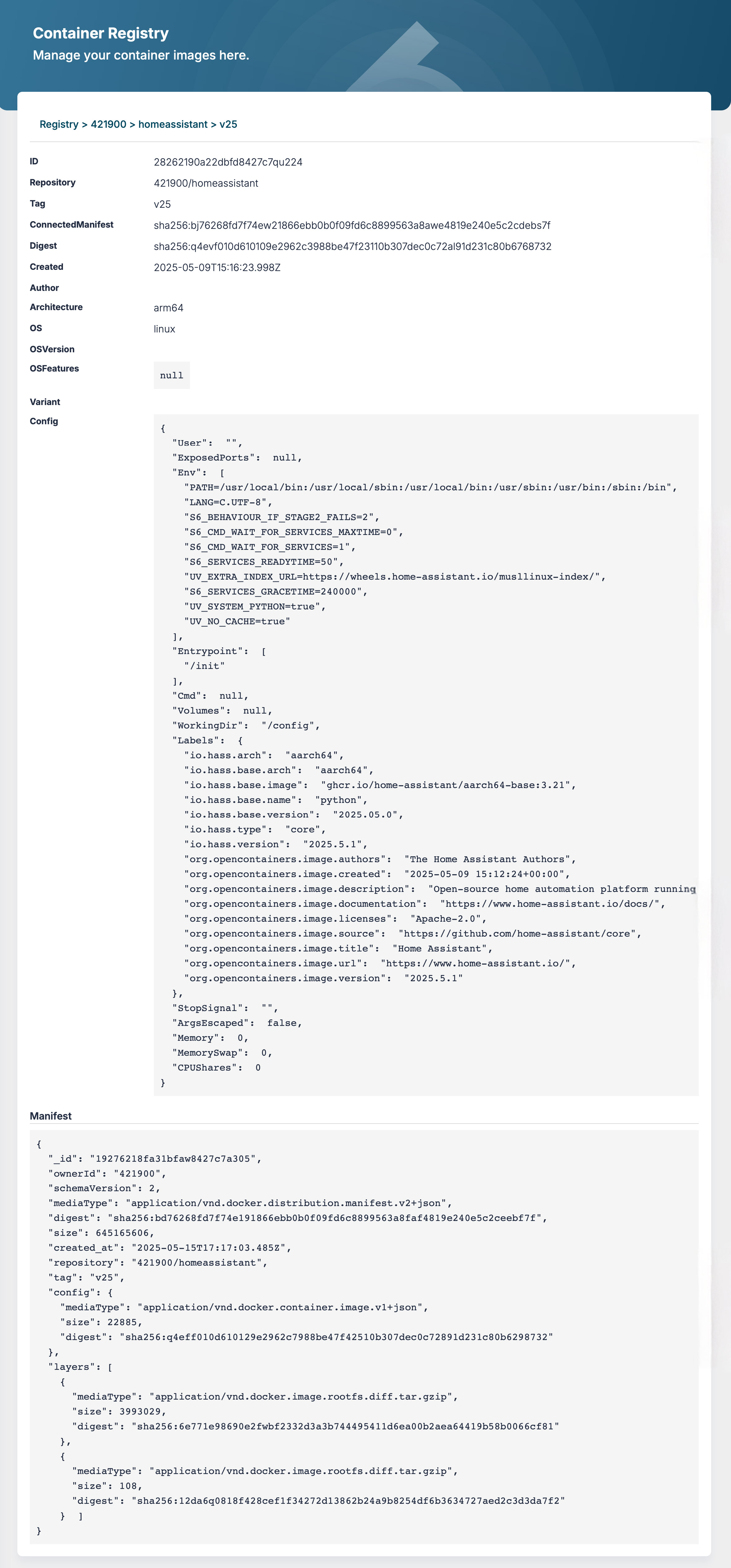 Container Registry image details page showing repository, tag, digest, architecture arm64, and manifest layers