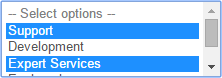 Screenshot of selection element with multiple selections enabled where visitors choose more than one option