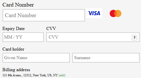 Custom style COPYandPAY form.