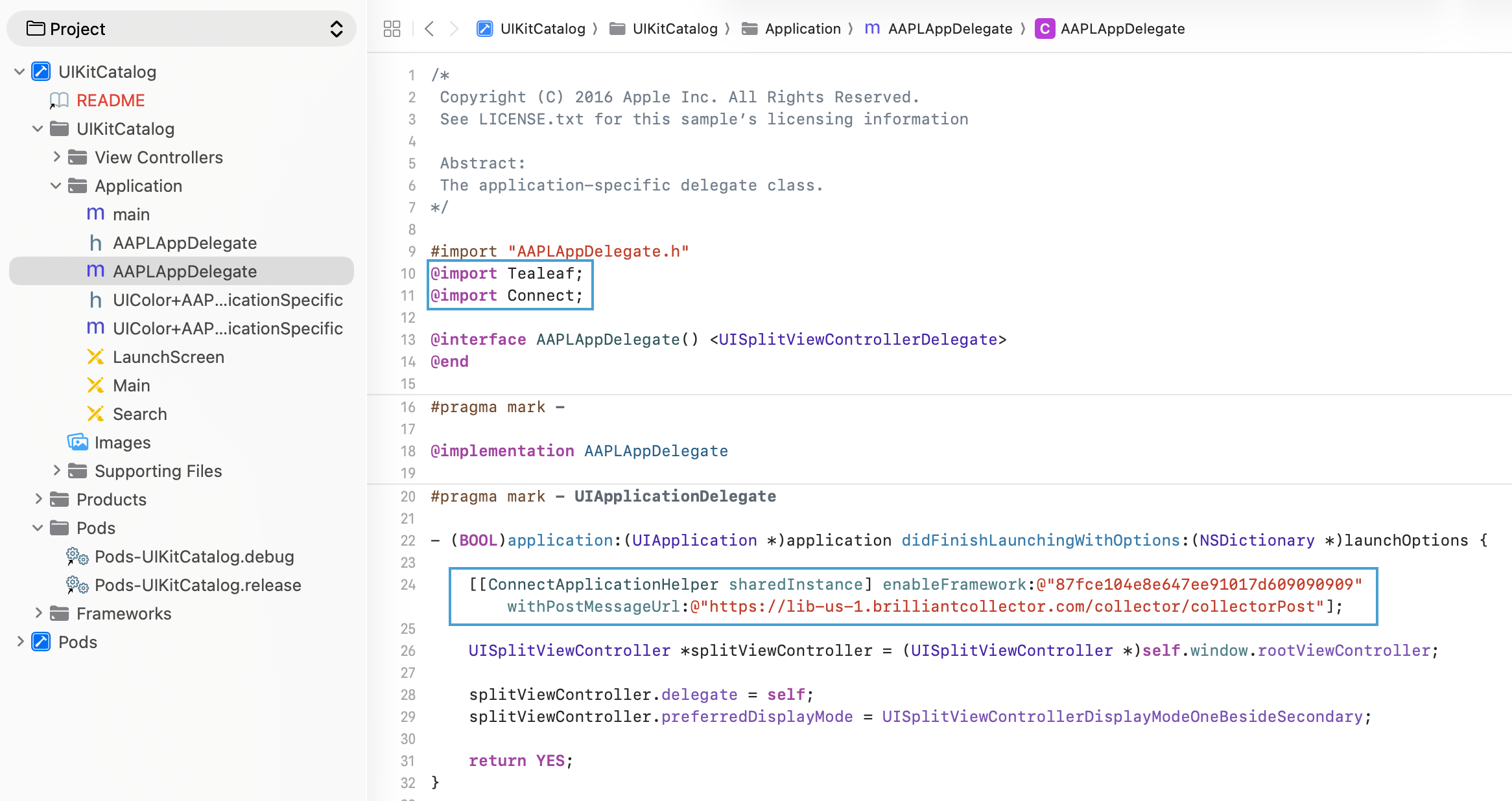 Customized AppDelegate.m