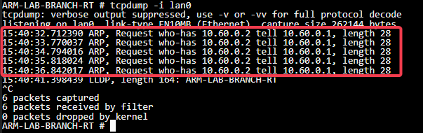 TCP DUMP example - no reply to ARP from EC.