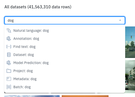 Typing "dog" here suggests this type of filters