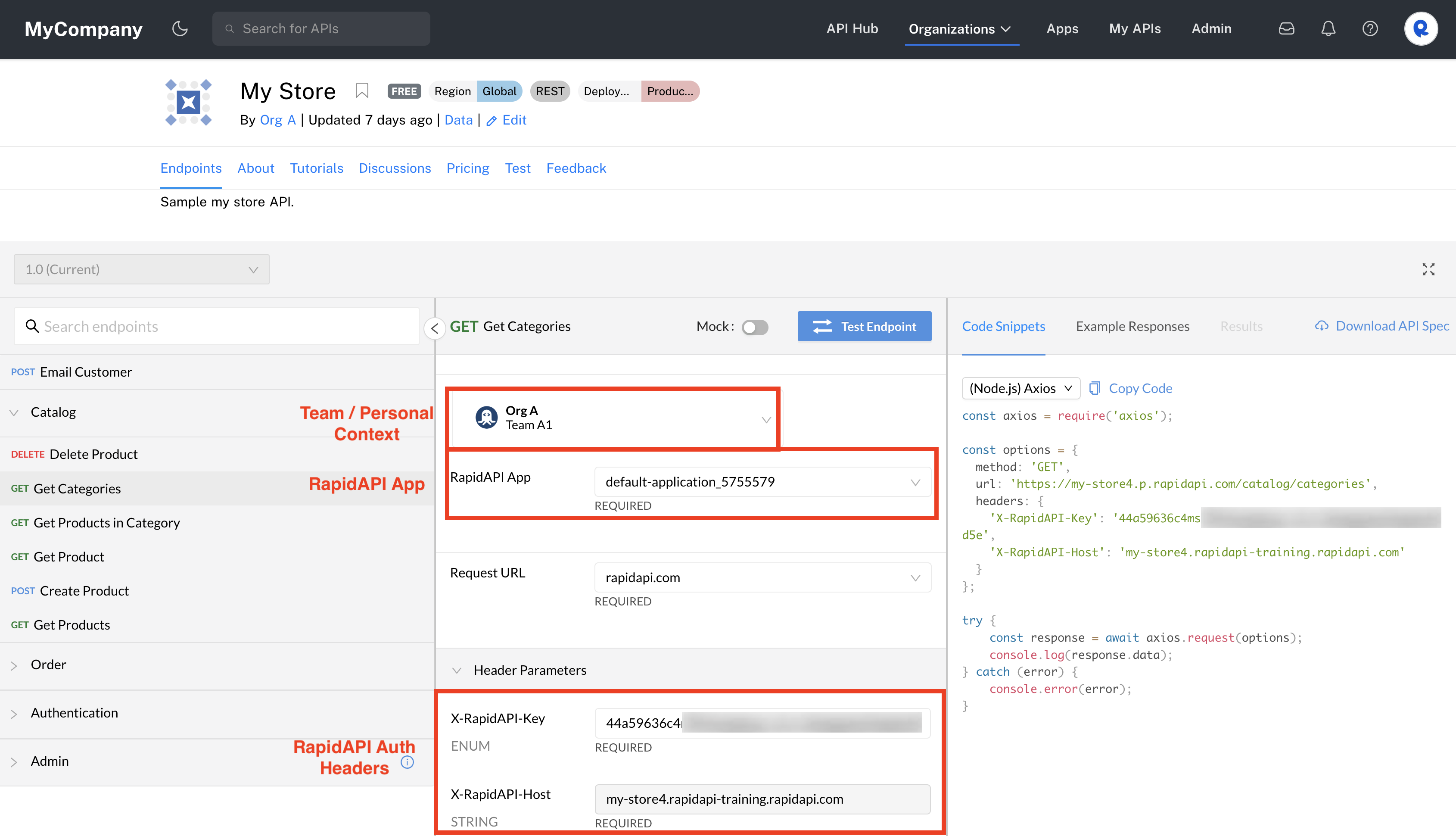 Viewing RapidAPI Auth headers in the API's listing.