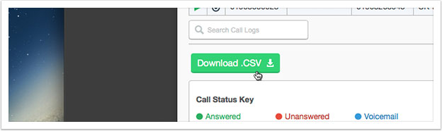 Click the 'Download .CSV' button in the table header to download your Call Logs