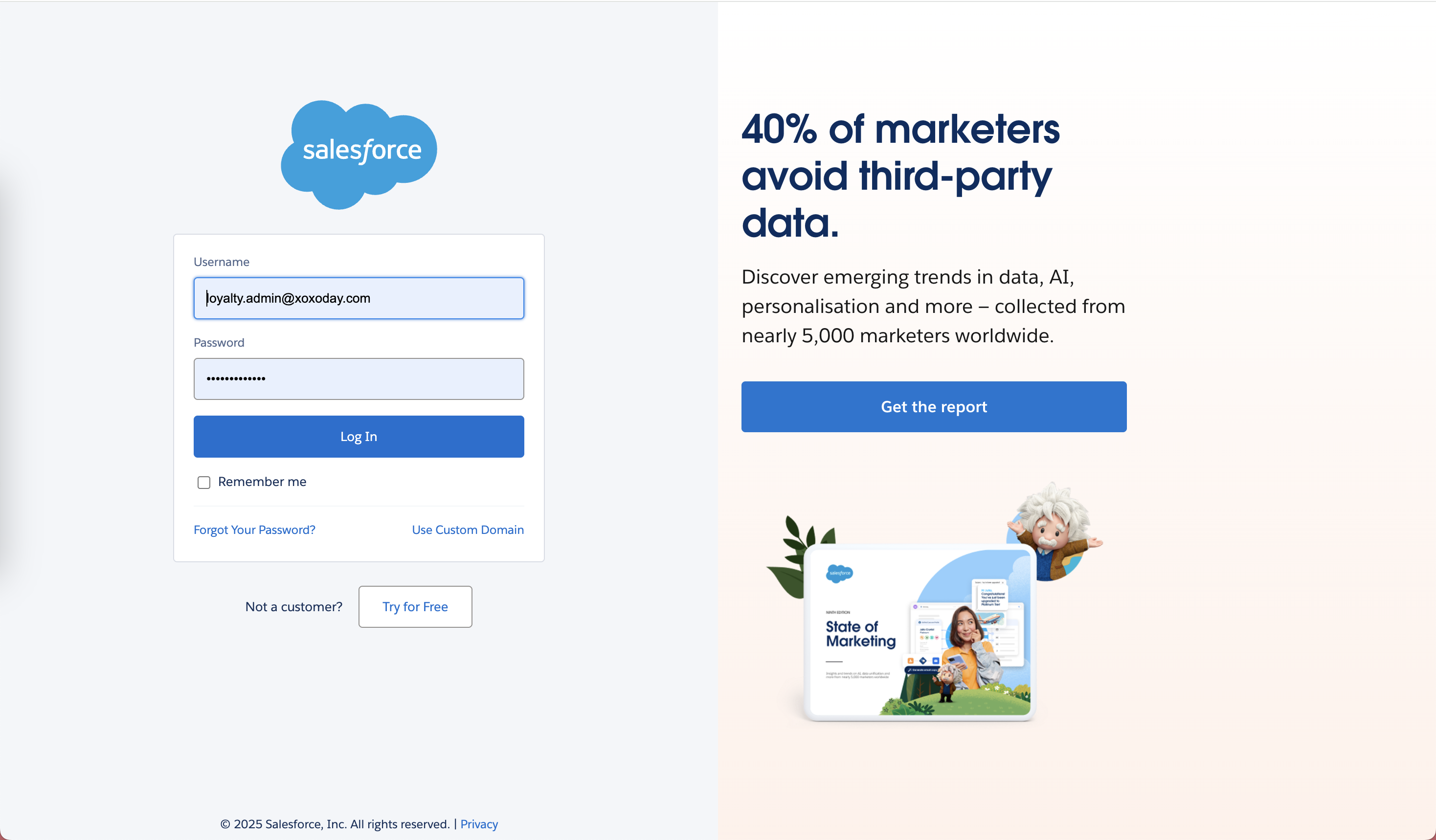 Salesforce Authorization Screen