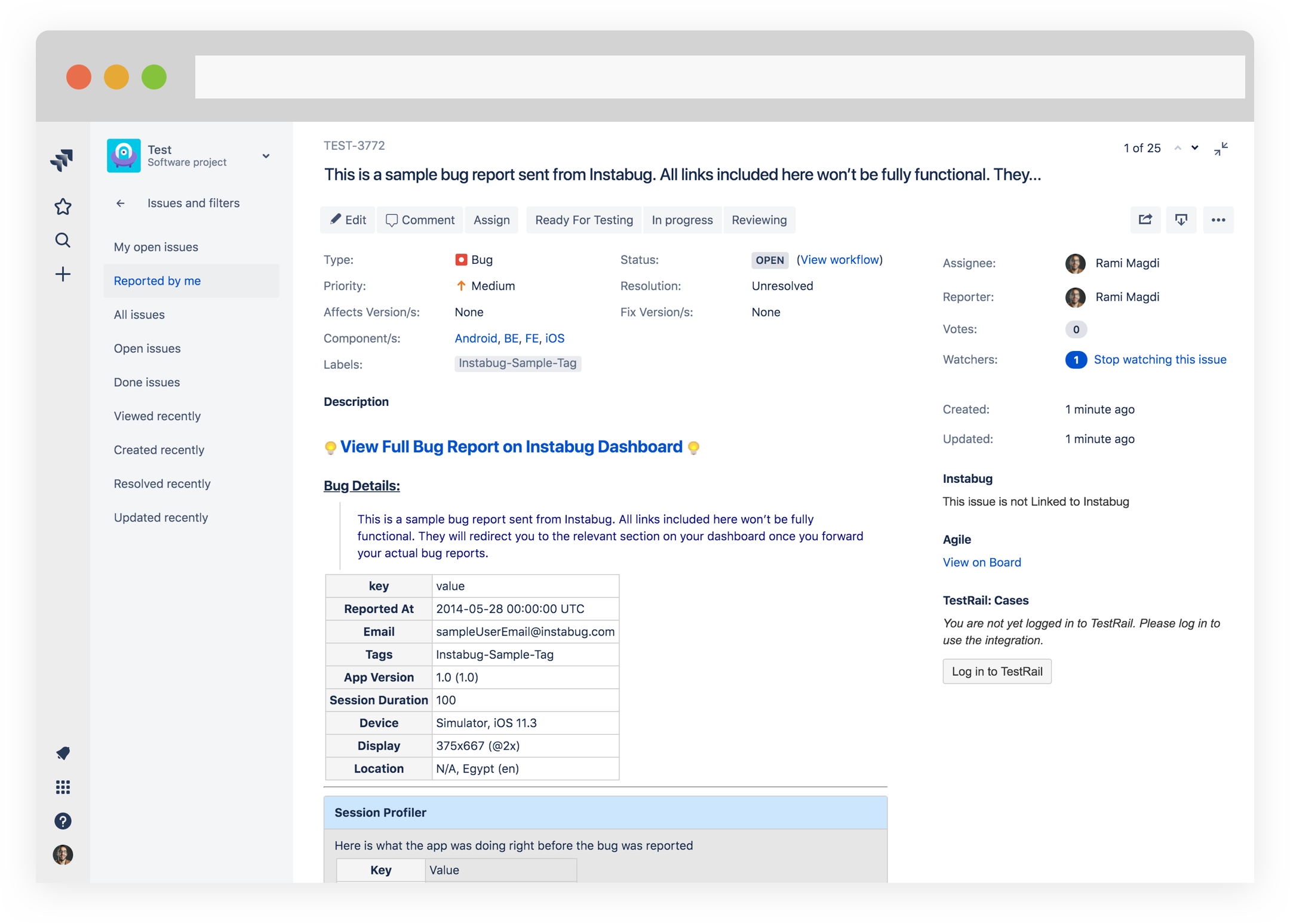 Jira Server - Sample Bug.png