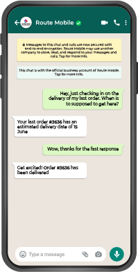 WhatsApp chat mockup showing a user-initiated message and Route Mobile order status response