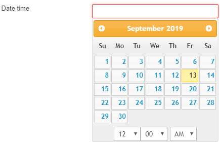 Screenshot of the Date time element rendered on a page with a date picker where visitors select a date and time