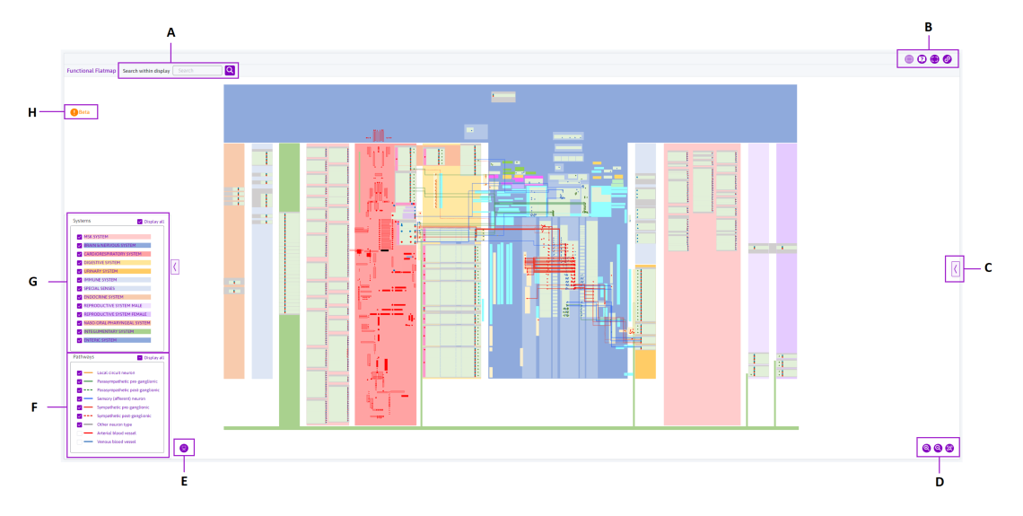 Functional map highlighting controls