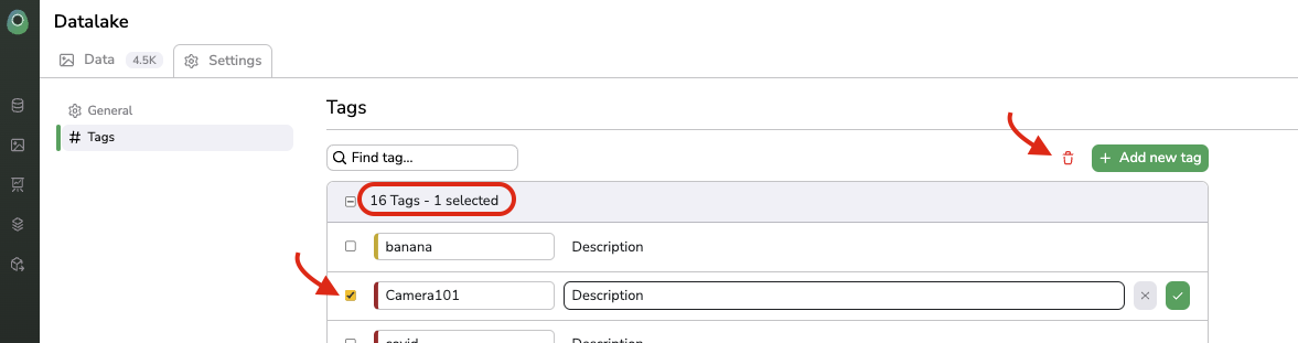 Deleting a `DataTag`from _Settings_