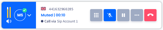 Screenshot of the **Mute** button: mini mode