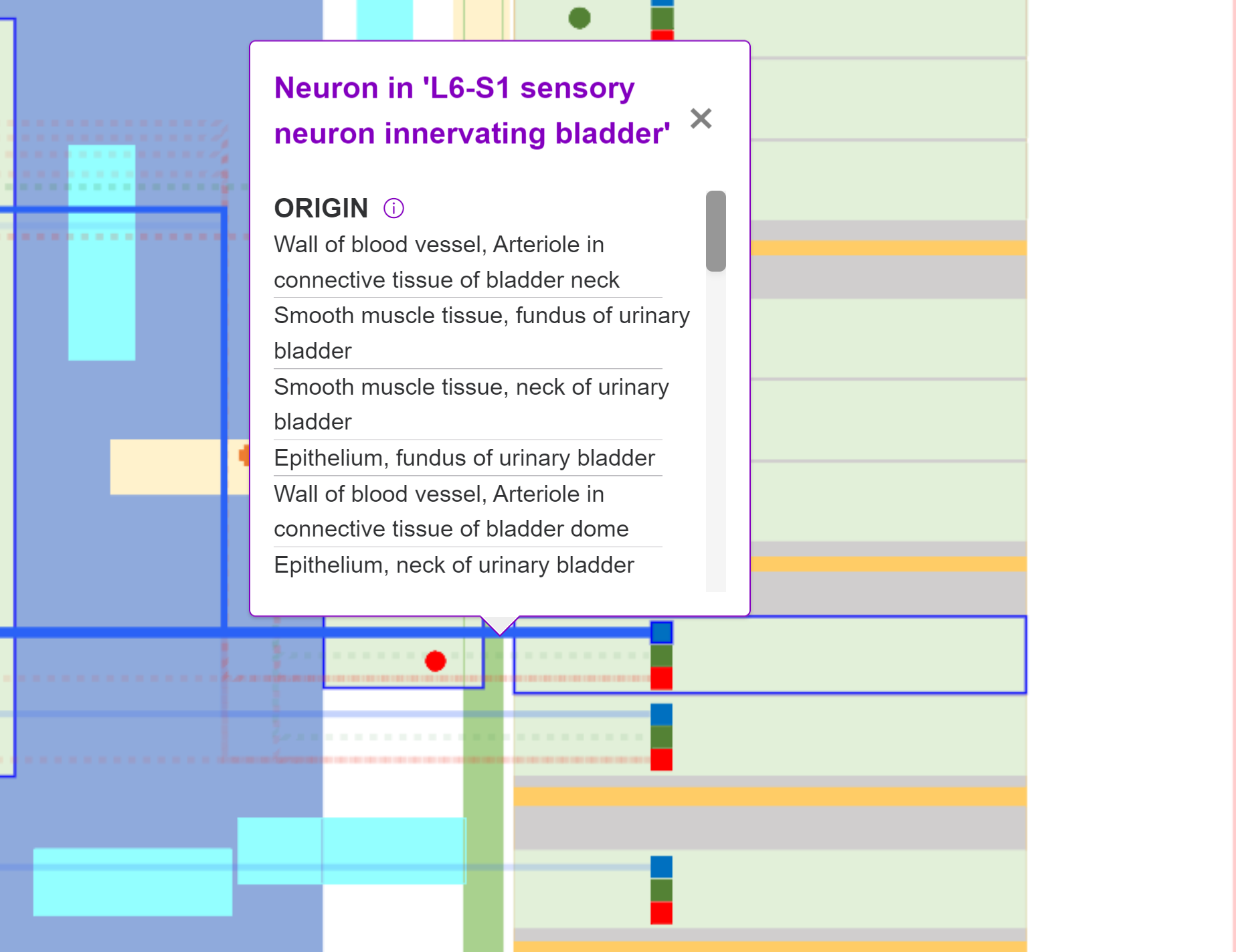 Connection information show graphically