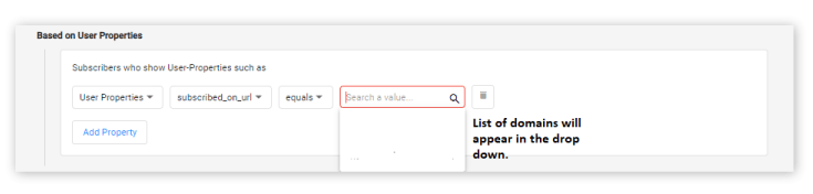 You can segment users who subscribed to a specific domain using User Properties