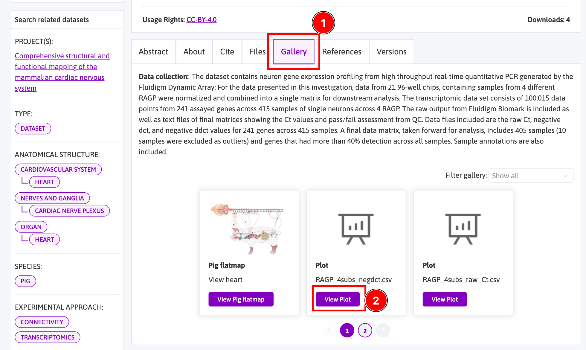 Figure 2: Section of a dataset page showing the Gallery tab, with annotations illustrating how to navigate to viewing a plot from the dataset.