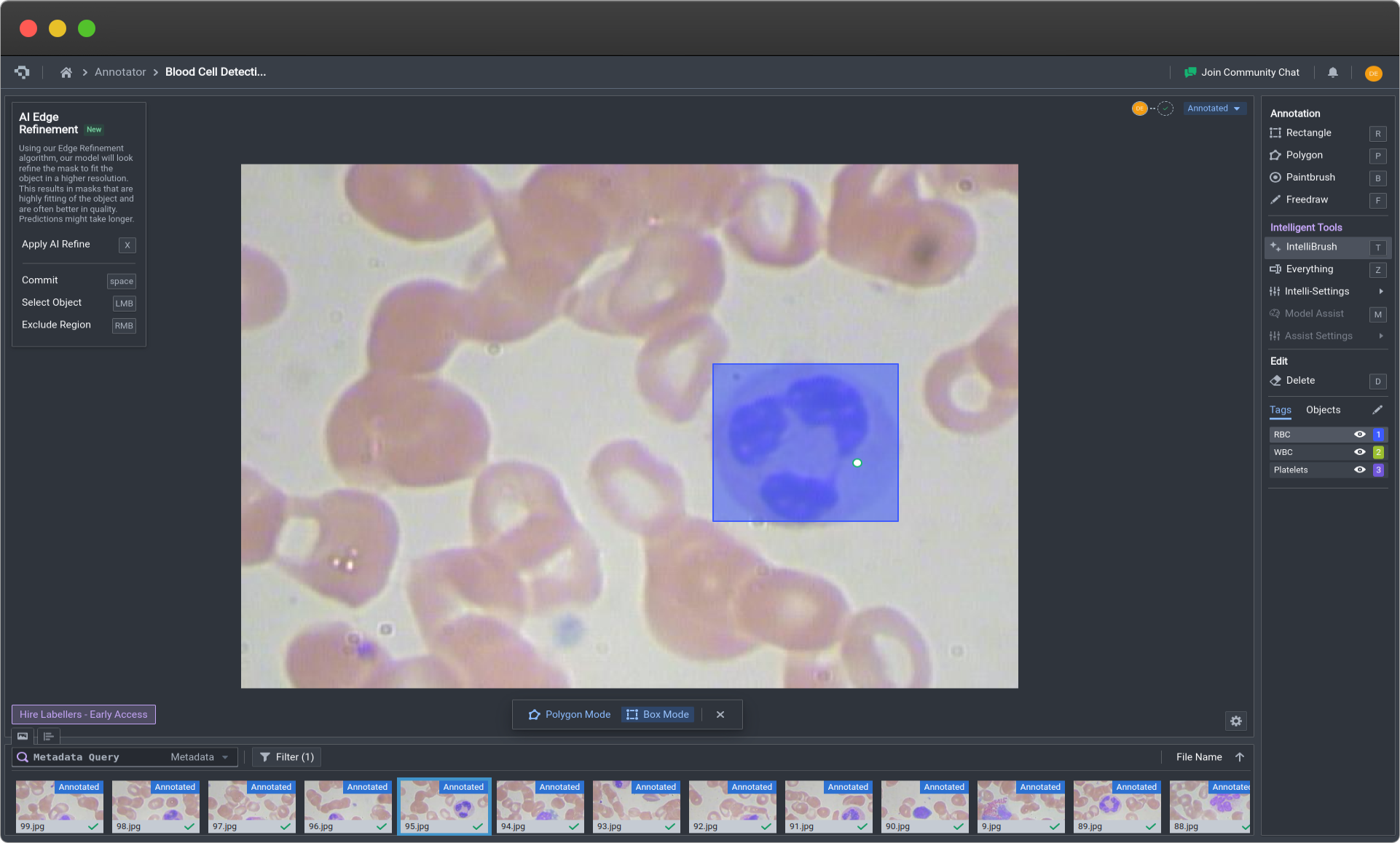 Creating Bounding Boxes on IntelliBrush (Click image to enlarge)