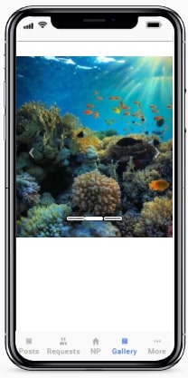 imageslider.jpg
