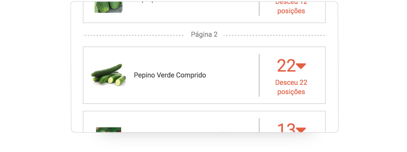 Interface_Pepino7.png