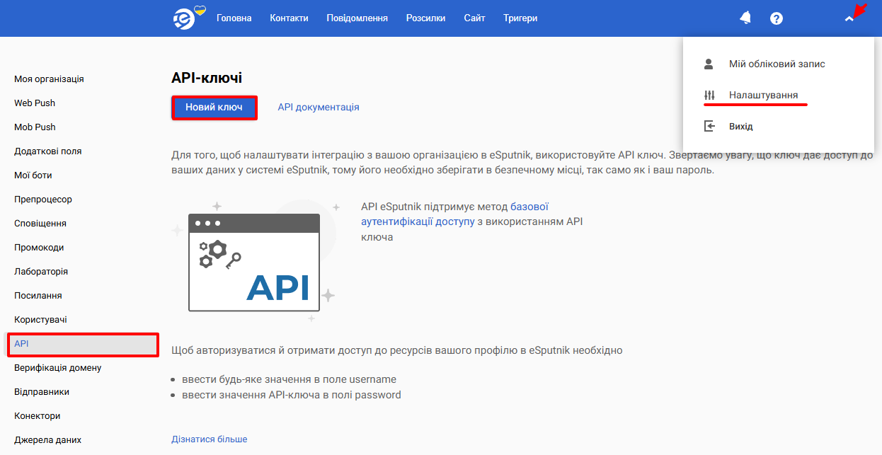 API ключ