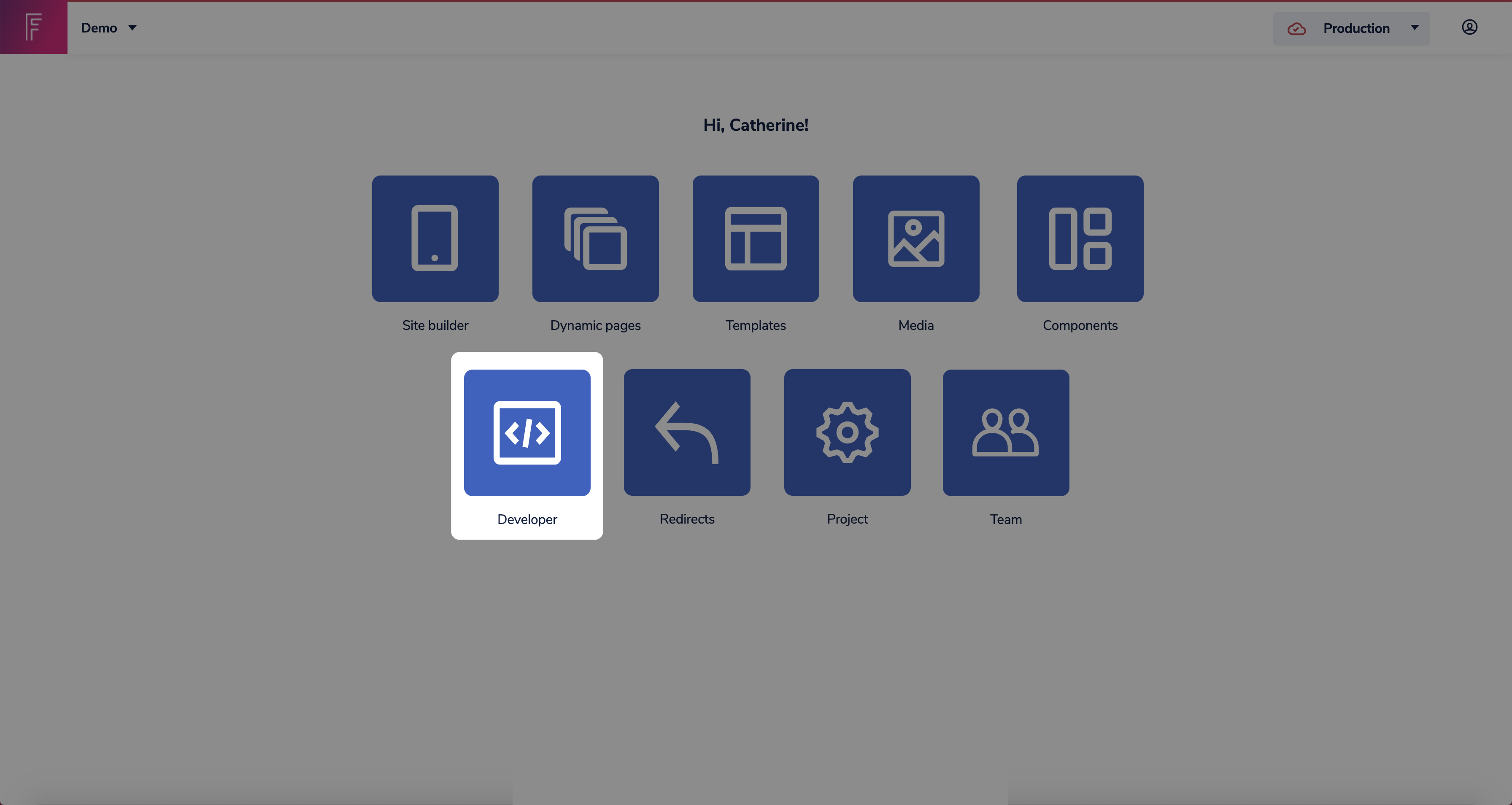 Developer on Frontastic studio dashboard.png