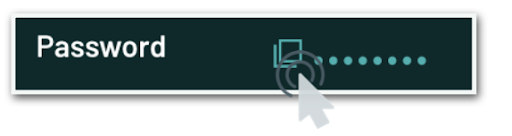 password copy.png