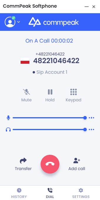 Screenshot of the active call in progress
