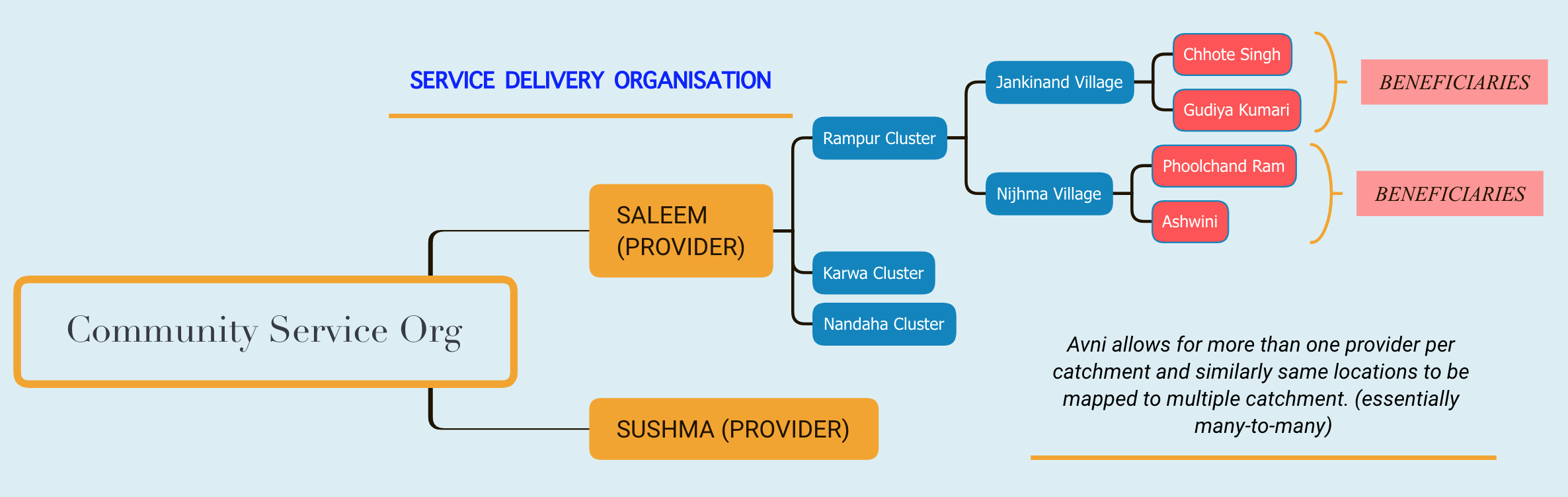 An example of service delivery organisation