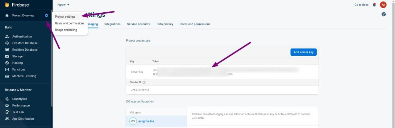 Firebase interface.png