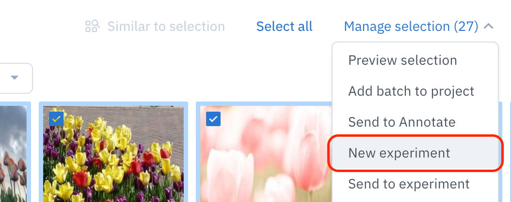 Select **New experiment** from the **Manage selection** menu in Catalog.