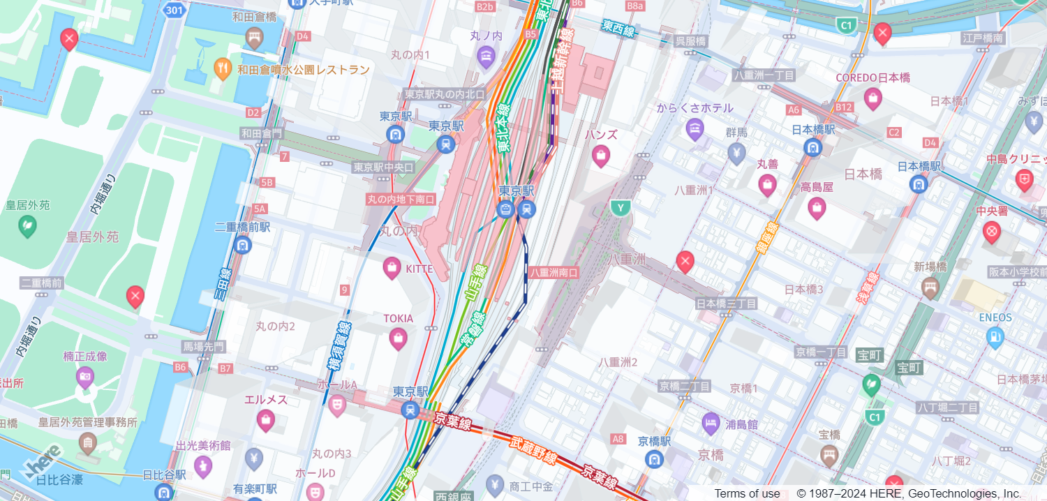 A basic map showing an area in Tokyo, Japan