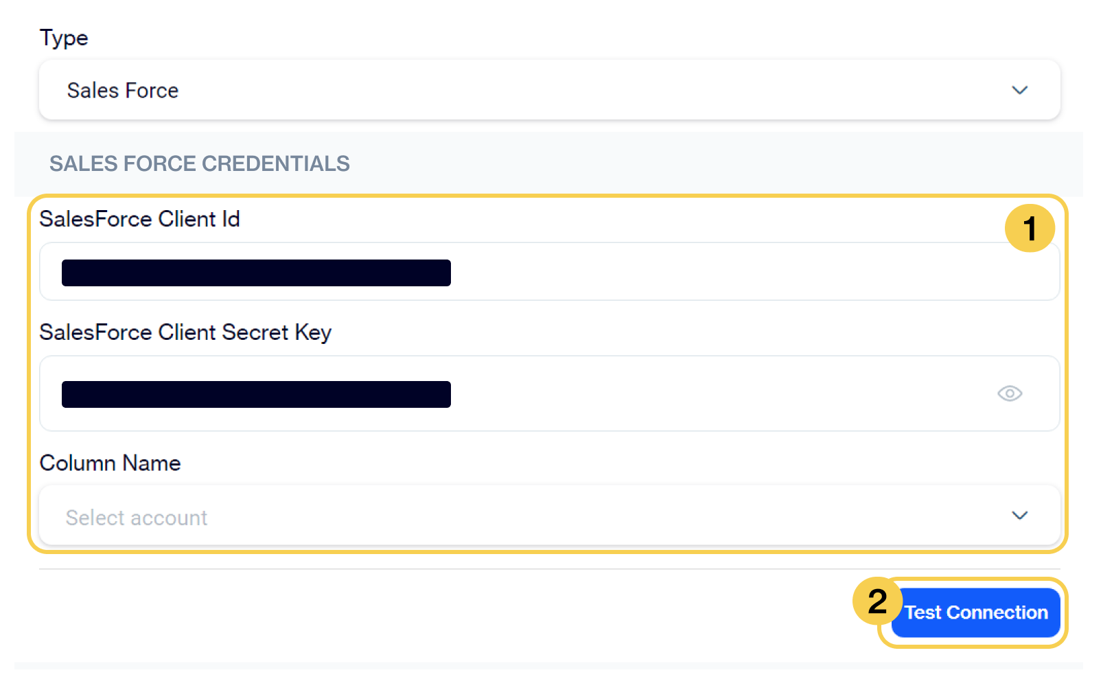 Salesforce Sales Automation Setup