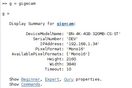 An example execution of the `gigecam`command showing the connected Bottlenose camera